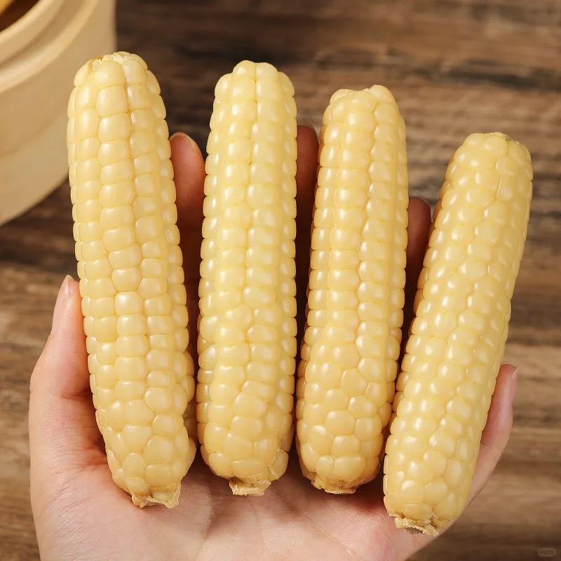 🌽Graines de Maïs Gluant Miniature – 🎁🌽Cultivez un Héritage du Yunnan