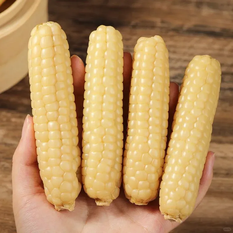 🌽Graines de Maïs Gluant Miniature – 🎁🌽Cultivez un Héritage du Yunnan