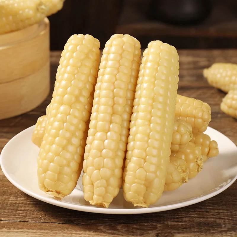 🌽Graines de Maïs Gluant Miniature – 🎁🌽Cultivez un Héritage du Yunnan