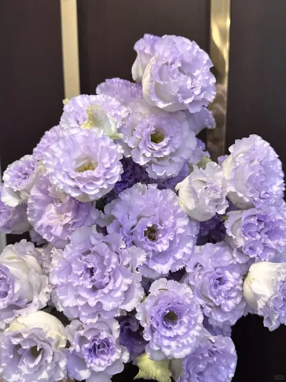 🔥50% de Réduction 🎁Lisianthus - Élégance Épanouie
