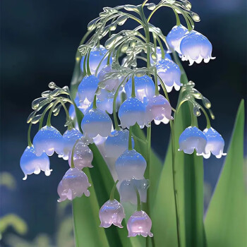 🎁⏰50% de Réduction 🔥Lys multicolore