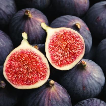 🔥Easy care🌈Giant Fig Seeds – Grow sweet, juicy figs!