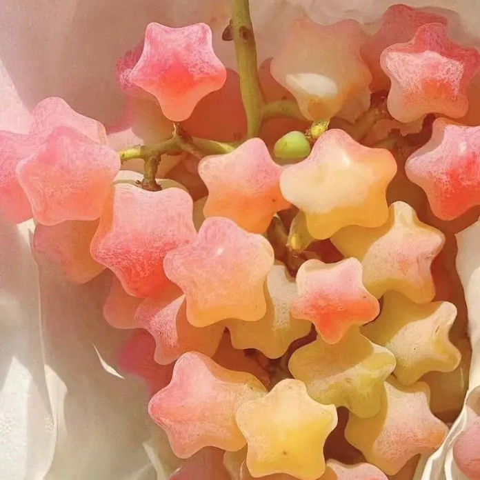 Graines de Raisin Étoilé (Star Grape) – Une Expérience Céleste