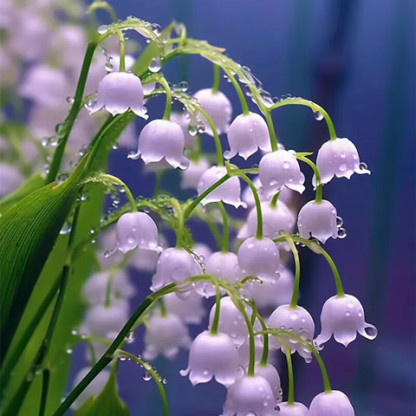 🎁⏰50% de Réduction 🔥Lys multicolore