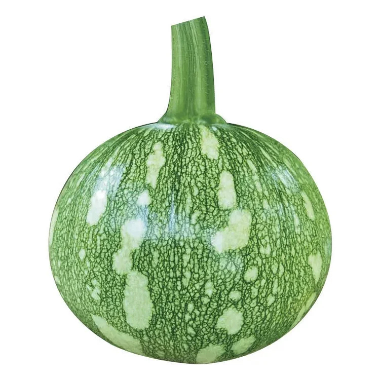 🎃Graines de Courge "Clochettes en Grappe" 🌟