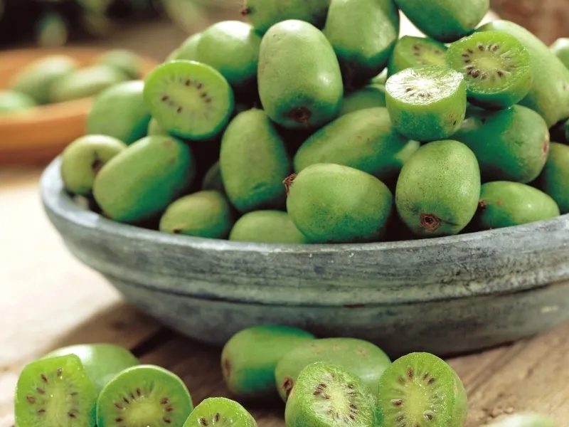 🔥30% de Réduction🥝🥝Graines de Kiwaï