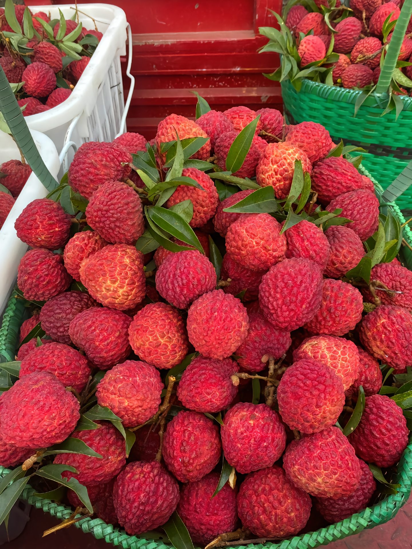 50 % de réduction🌺 Graines de Litchi Géant Sans Noyau 🌺