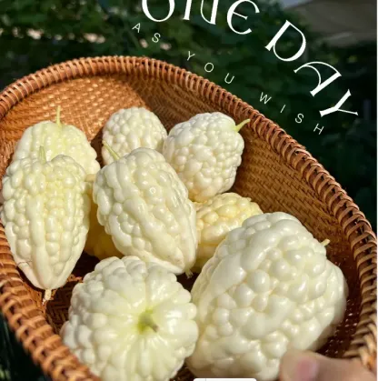 Apple Balsam Pear Seeds