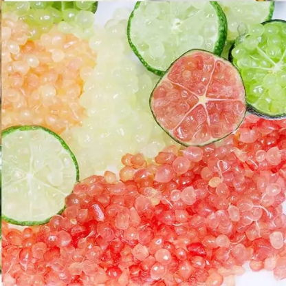 Graines de citron caviar - Citrus Australasica