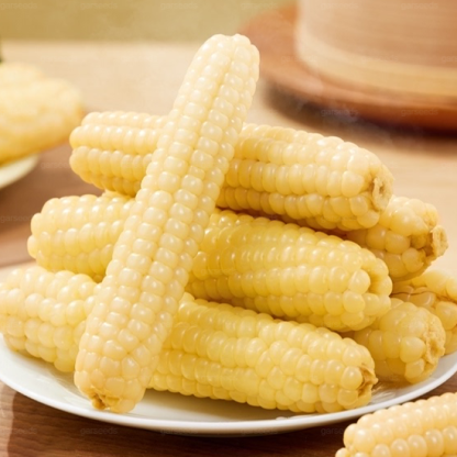 🌽🌿Mini graines de maïs pouce🌽