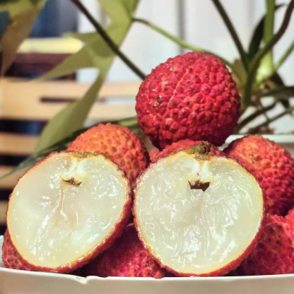 50 % de réduction🌺 Graines de Litchi Géant Sans Noyau 🌺