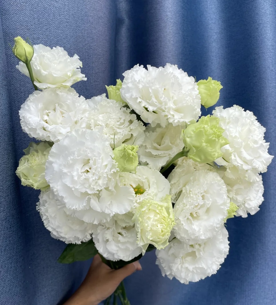 🔥50% de Réduction 🎁Lisianthus - Élégance Épanouie