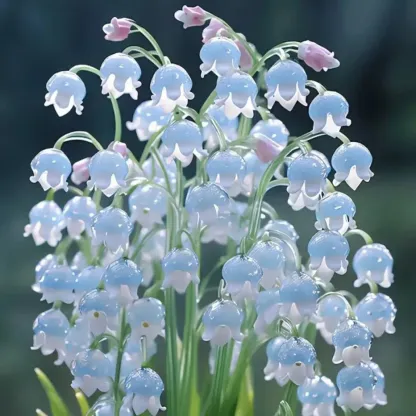 Graines de Muguet Cristal Coloré - La Magie du Jardin Enchanté💐💑