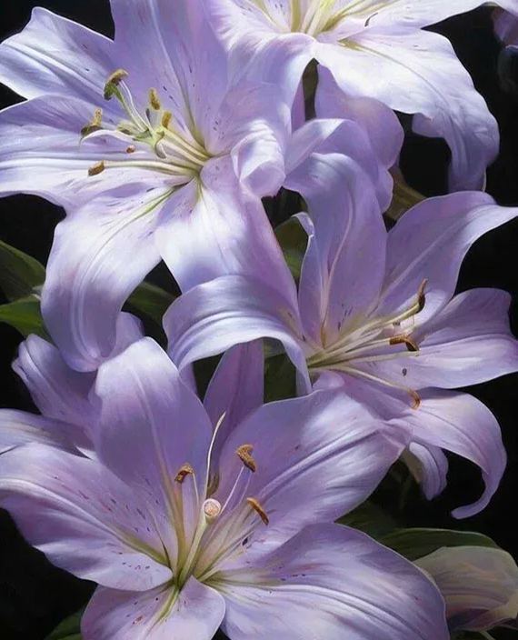 🔥 Entretien facile 🎁 Bulbes de lys roses