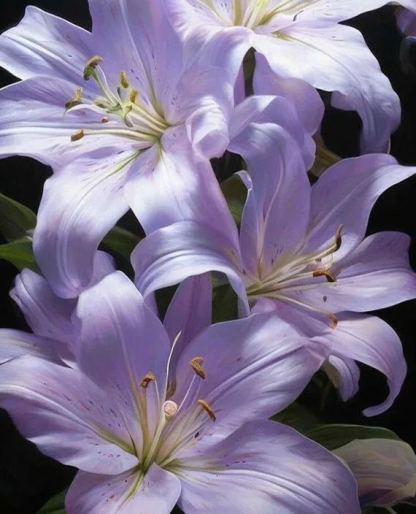 🔥 Entretien facile 🎁 Bulbes de lys roses