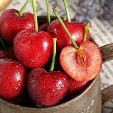 🍒 Graines de Cerisier - Votre Verger Gourmand à la Maison