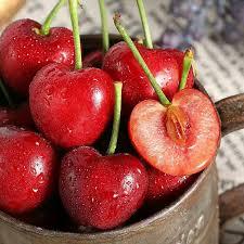 🍒 Graines de Cerisier - Votre Verger Gourmand à la Maison