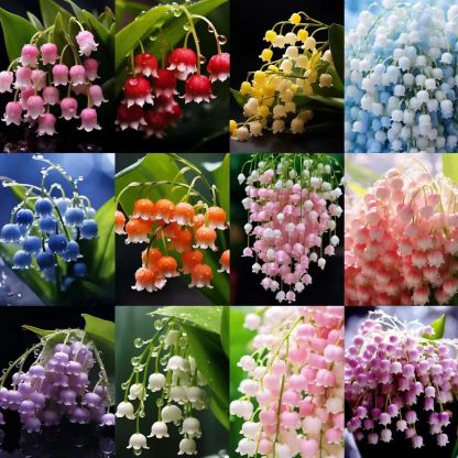 🎁⏰50% de Réduction 🔥Lys multicolore