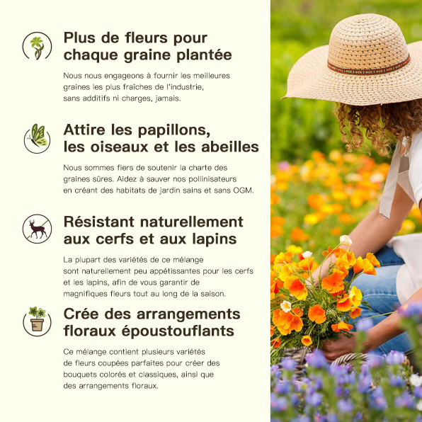  Rabais de temps limité 🔥 Graines de fleurs mélangées