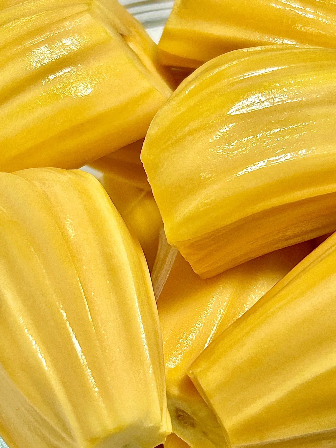 "Graines de Jacquier Géant