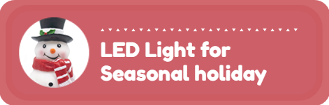 LED Light for Seasonal holiday