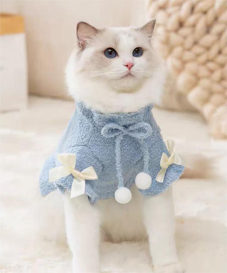 Kitten Cute Style Blue Sweater