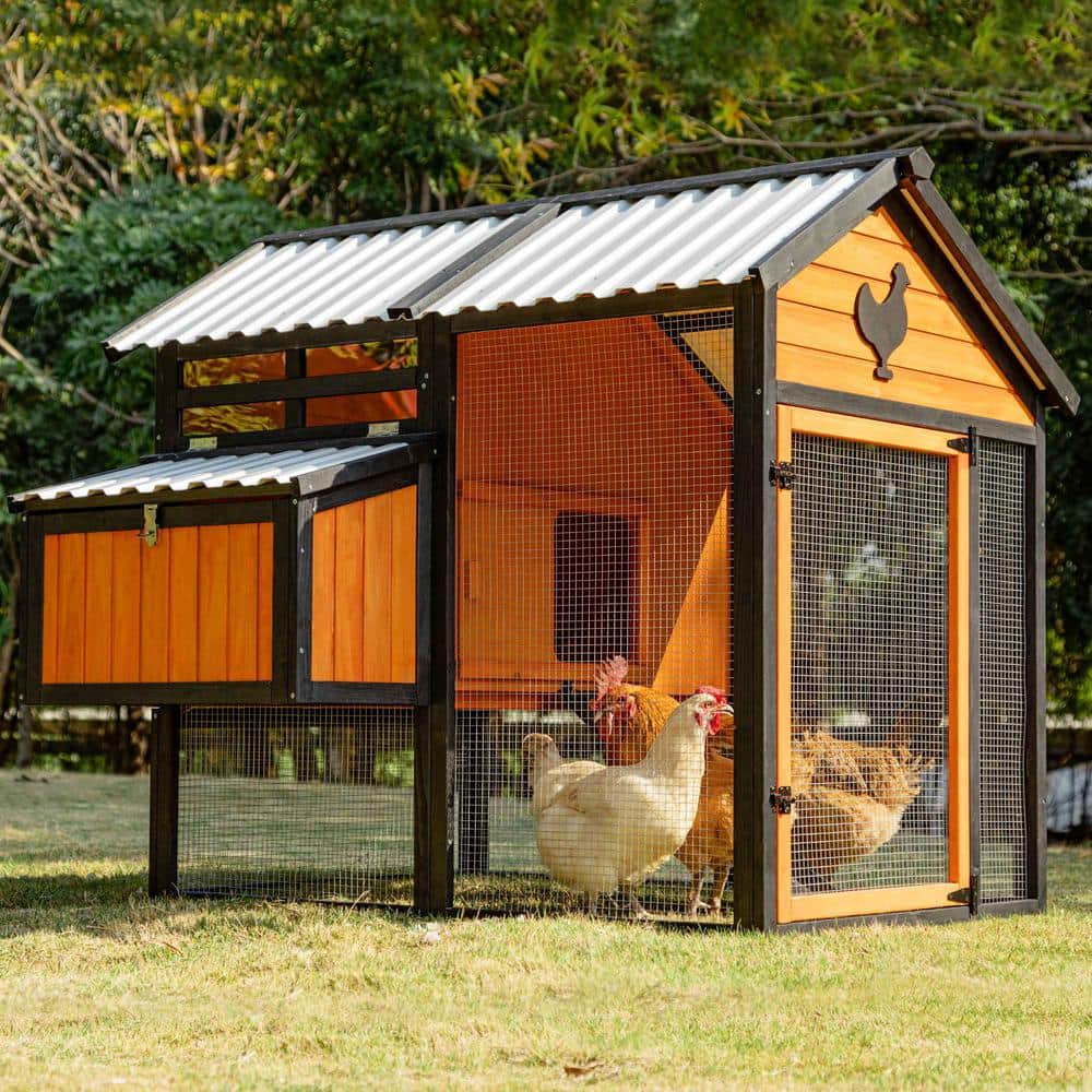 Mis cool Any 56 in. W x 49 in. D x 49 in. H Mesh Poultry Fencing Large Wood Chicken Coop Backyard with Nesting Box in Orange CCHD1026059