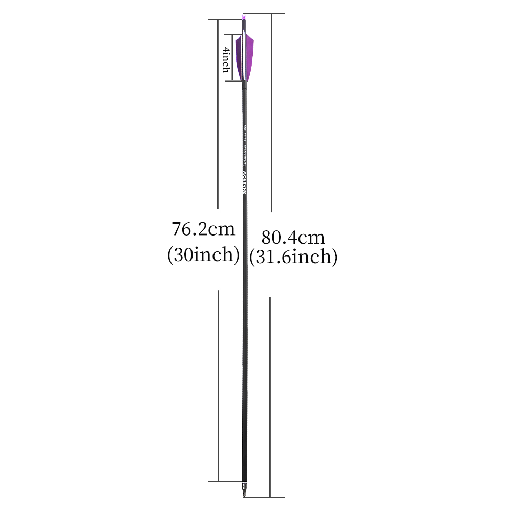 6/12pcs 30inch Carbon Arrows Spine 500 4" True Feather for Recurve/Compound Bow