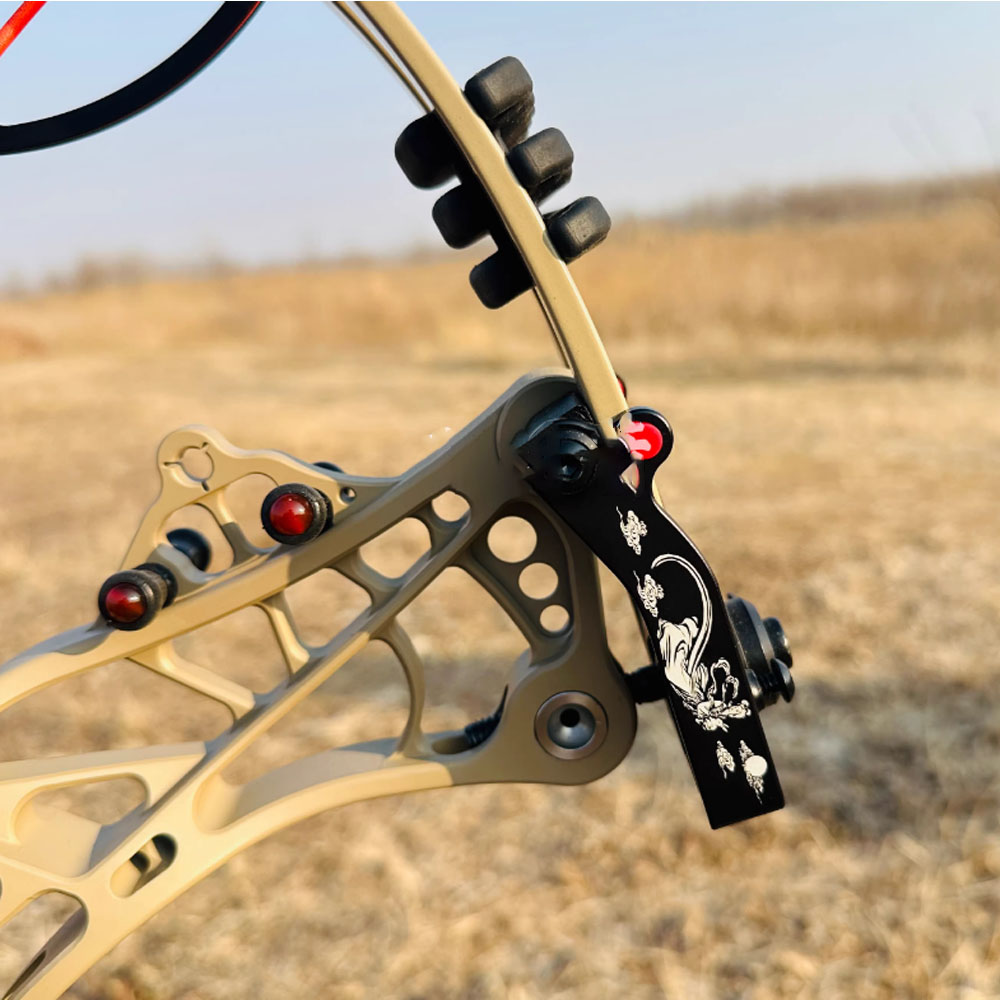 AGS Compound Bow 45-75lbs Hunting Kit Shooting Archery