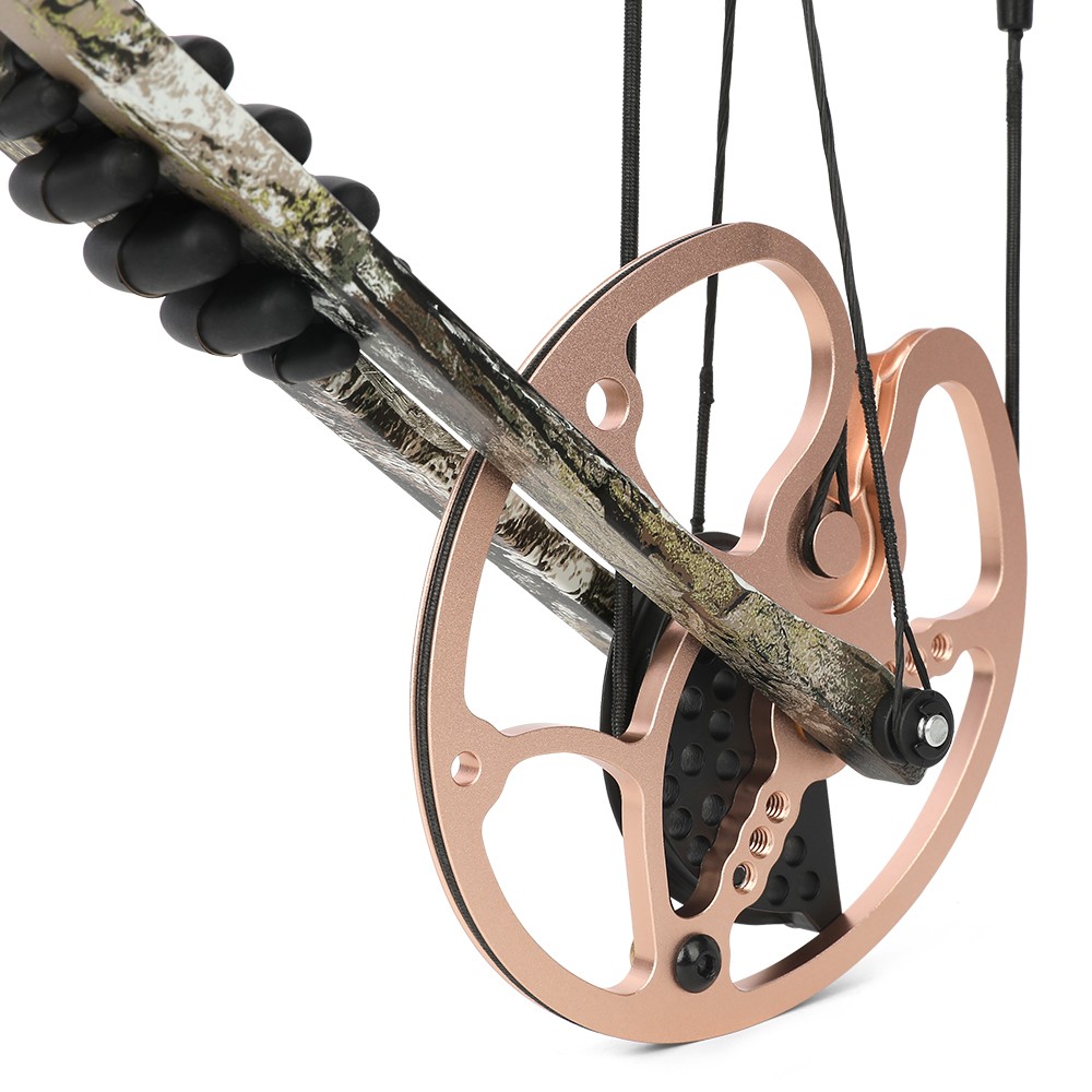 M193 Compound Bow Arrow Set 0-70lbs CNC 325fps Let-off 80% RH Hunting