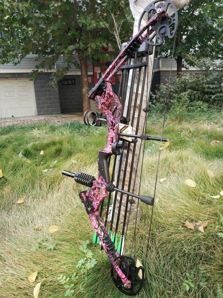 Compound Bow Kit 30-60lbs Adjustable 320FPS Full Set