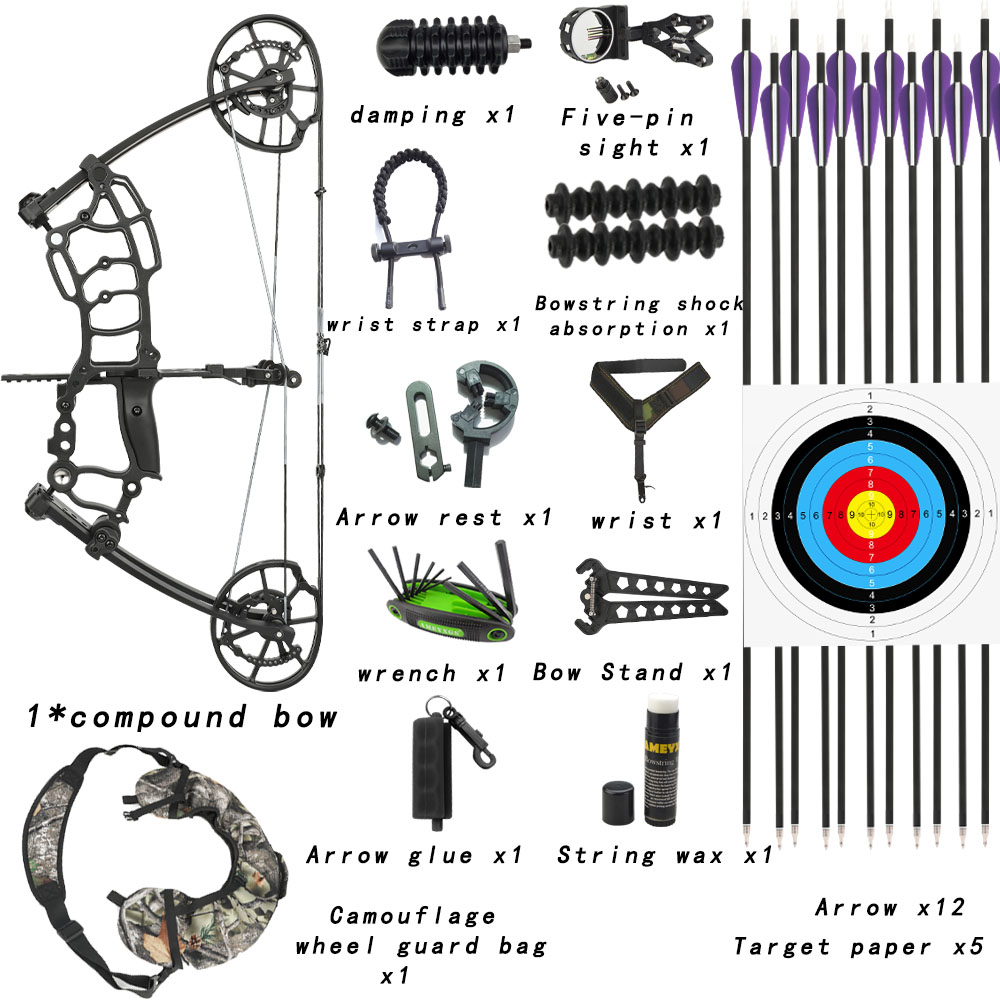 Compound Bow Set 40-65lbs Adjustable with Arrows Kit