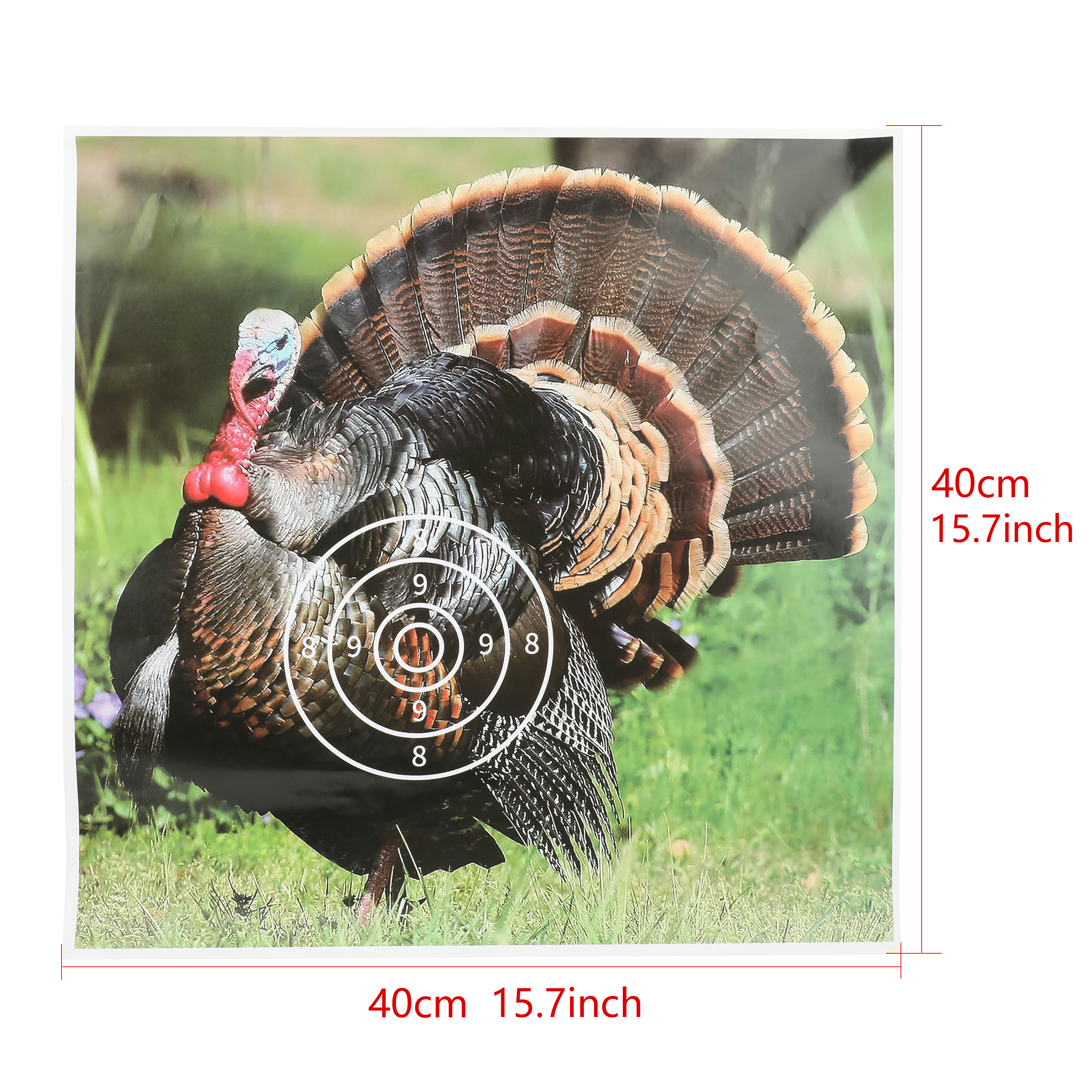 Turkey Target Paper, Coated Paper, 40x40cm