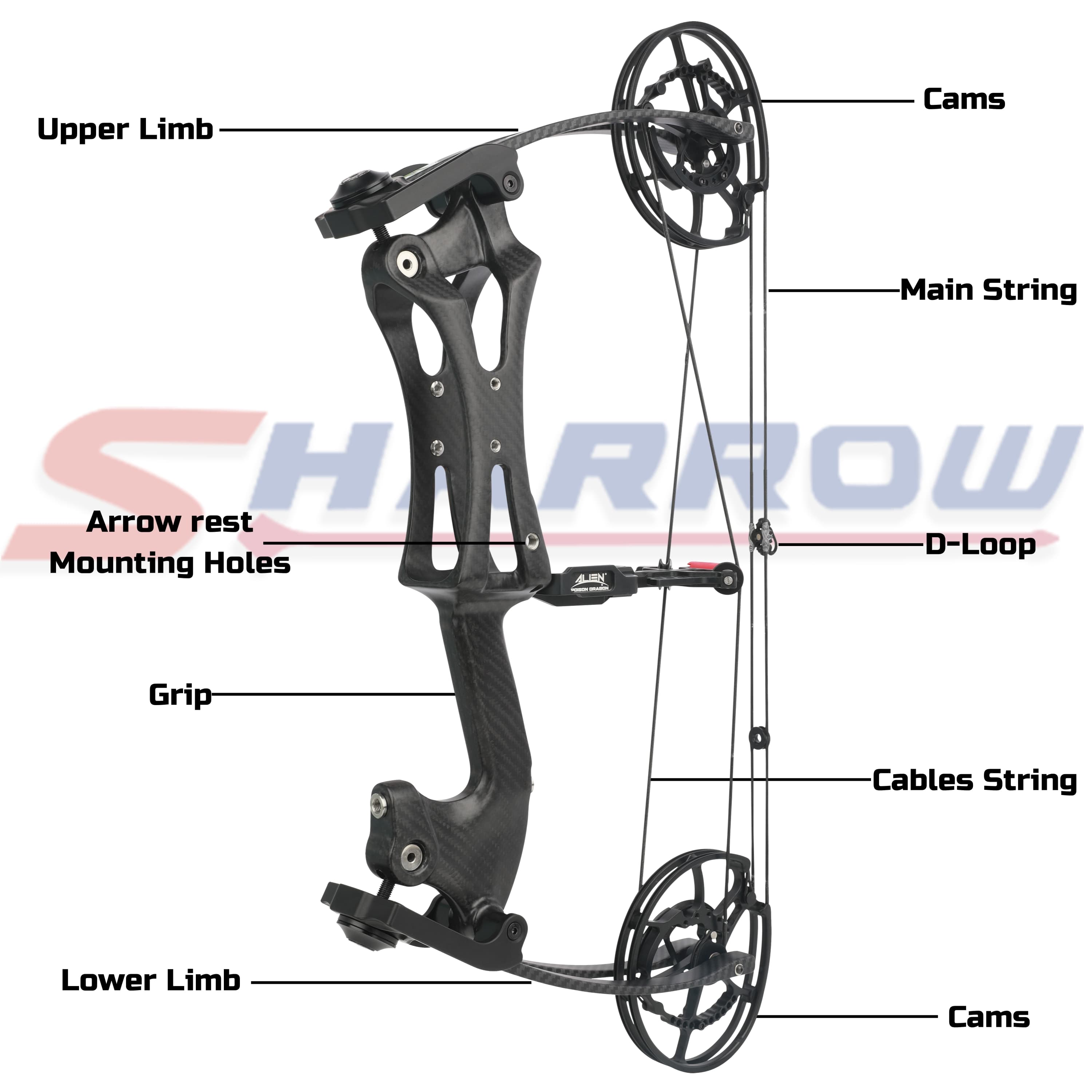 Compound Bow and Arrow Set Professional Competition Pulley Bow 