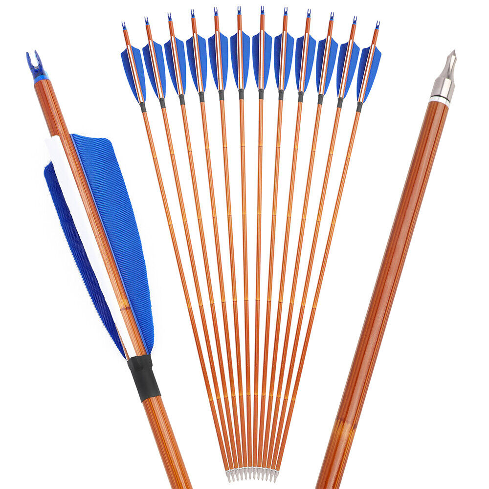 12pcs Archery 30" Carbon Arrows 4" Feathers SP500 Compound Recurve Bow Target Hunting