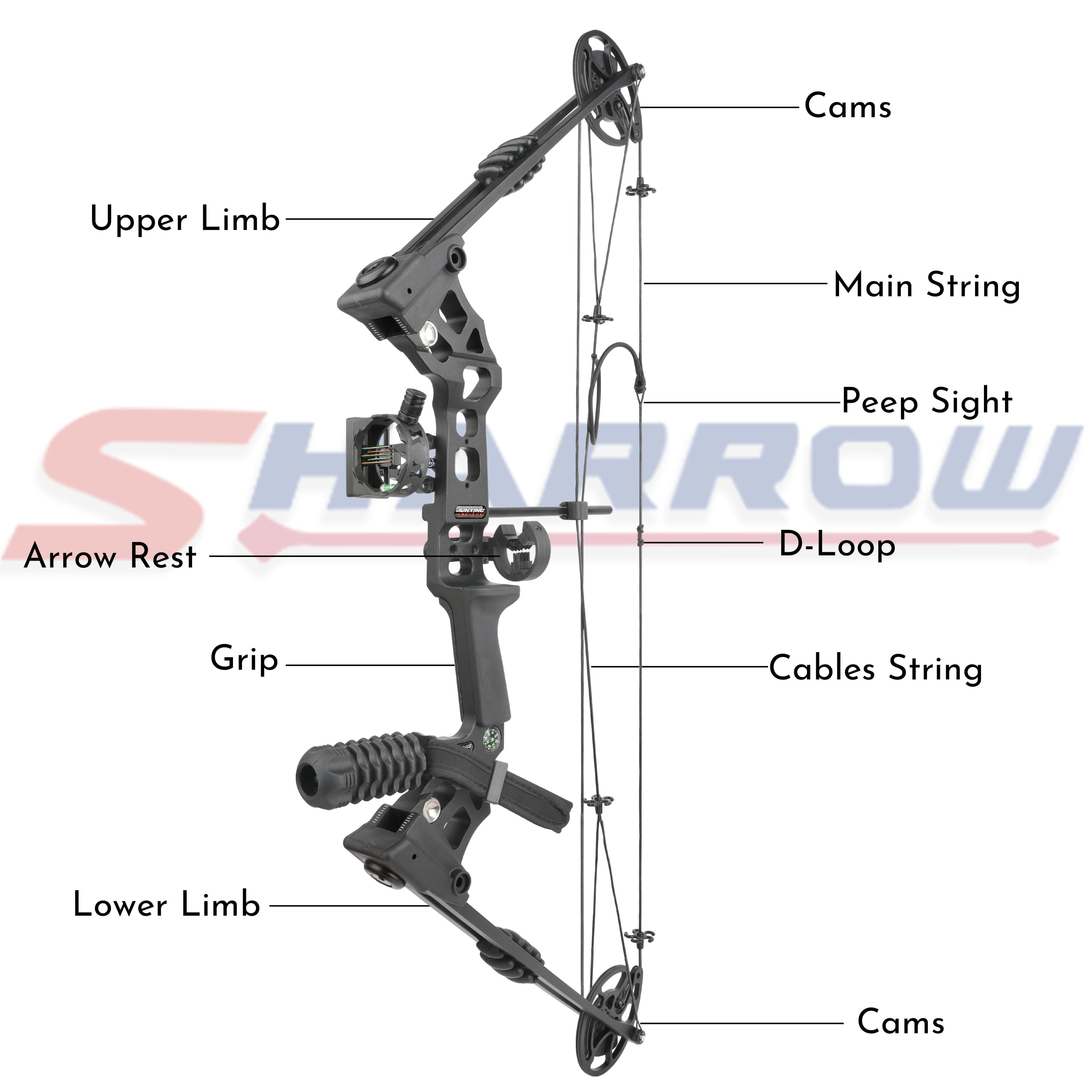 Archery 20-70lbs Compound Bow Set RH LH Target Hunting