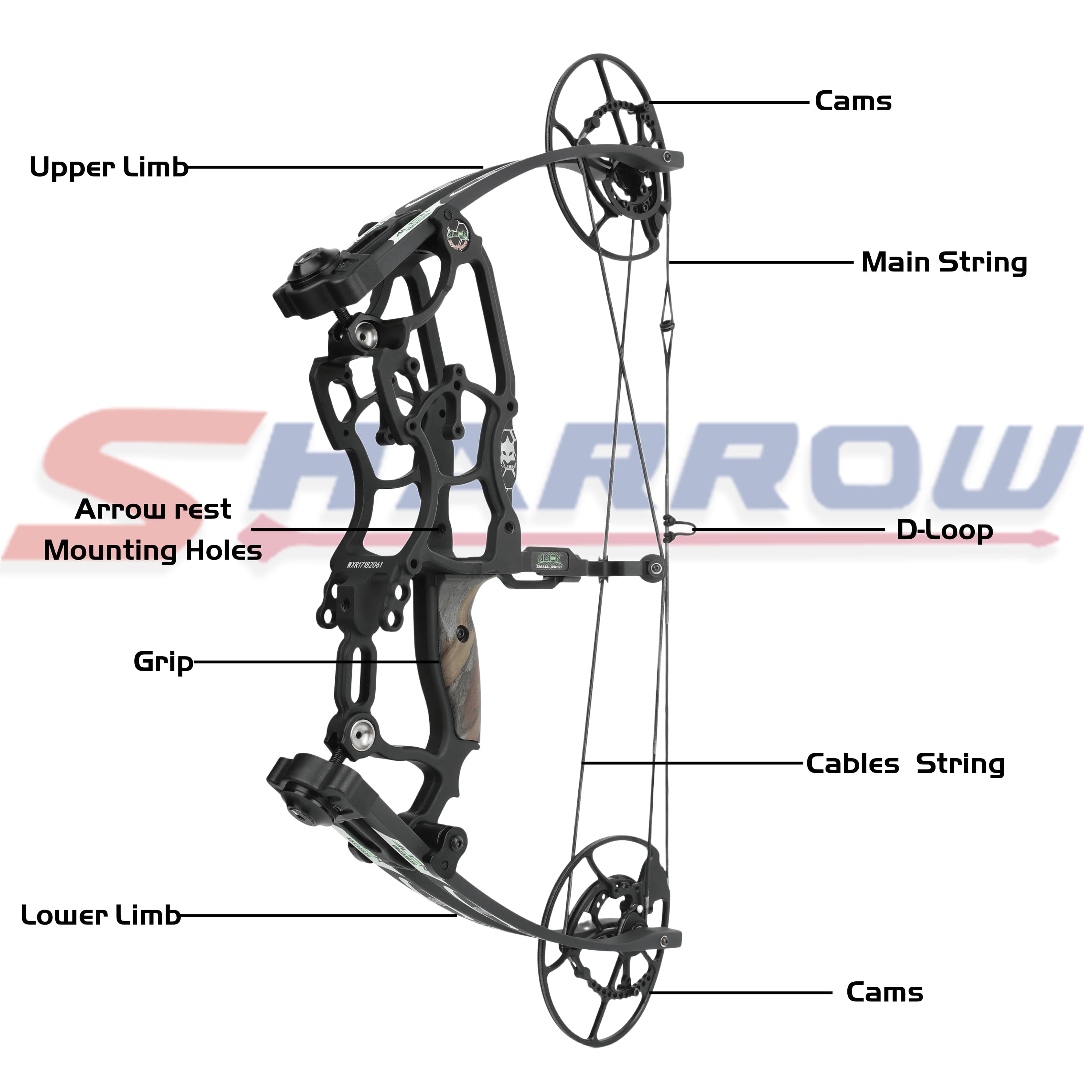 Draw Weight 30-70LBS Dual Use Compound Bow Set Shooting  archery 