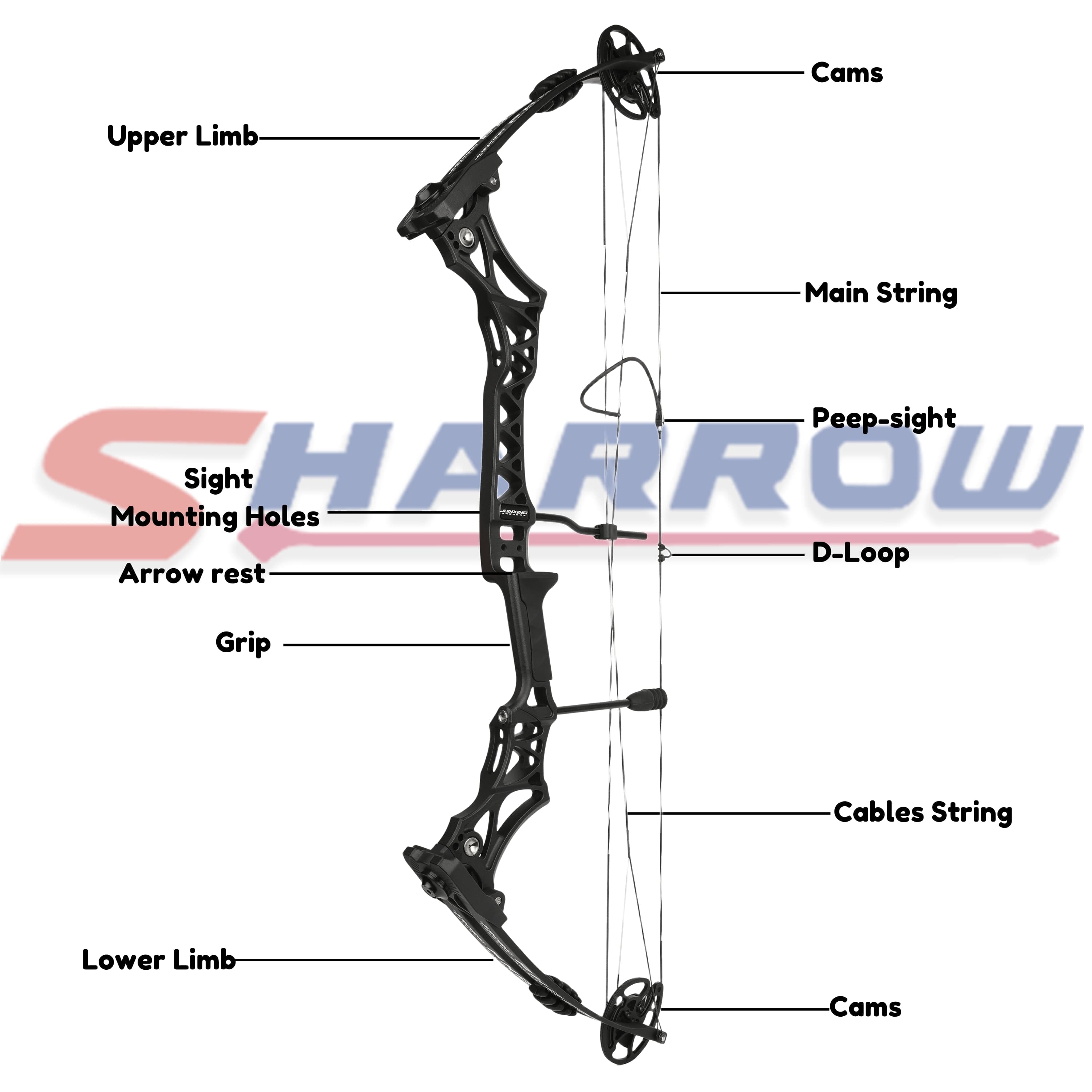  40" Compound Bow 30-55lbs Adjustable Multi-color Options