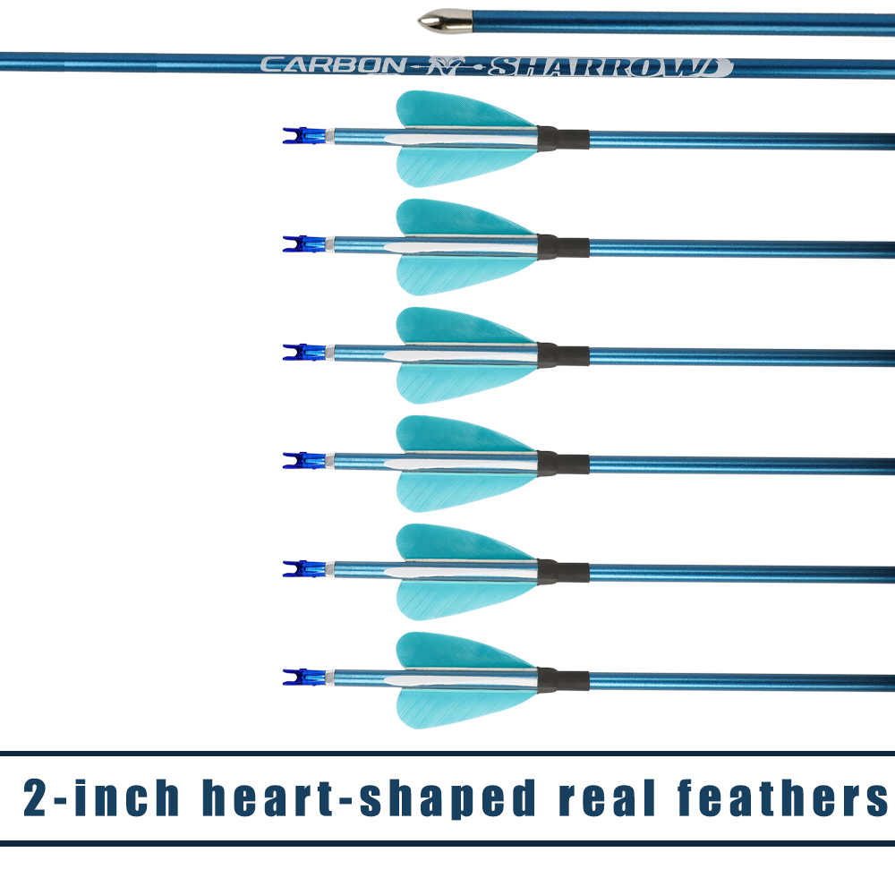 Pure Carbon Blue Arrows 31" 400–1000 Spine Real Feather 6pcs 12pcs