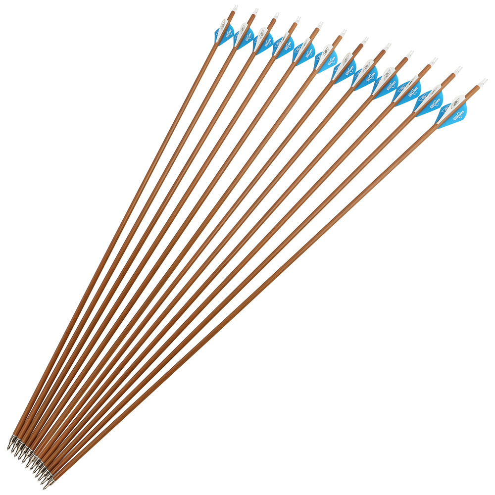 AME 30" Mixed Carbon Arrows 12pcs 100gr Deep/Light Wood