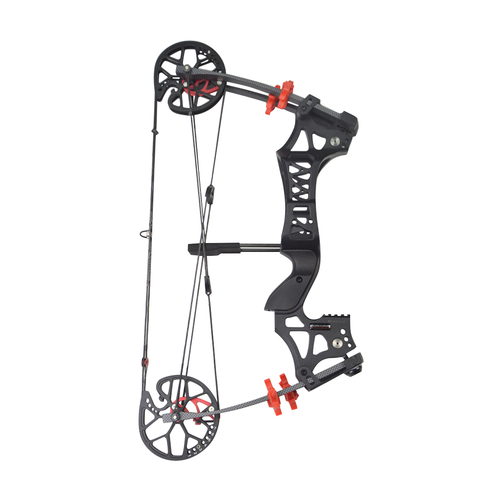 Archery 30-60lbs Dual -ues Compound Bow Set RH/LH 