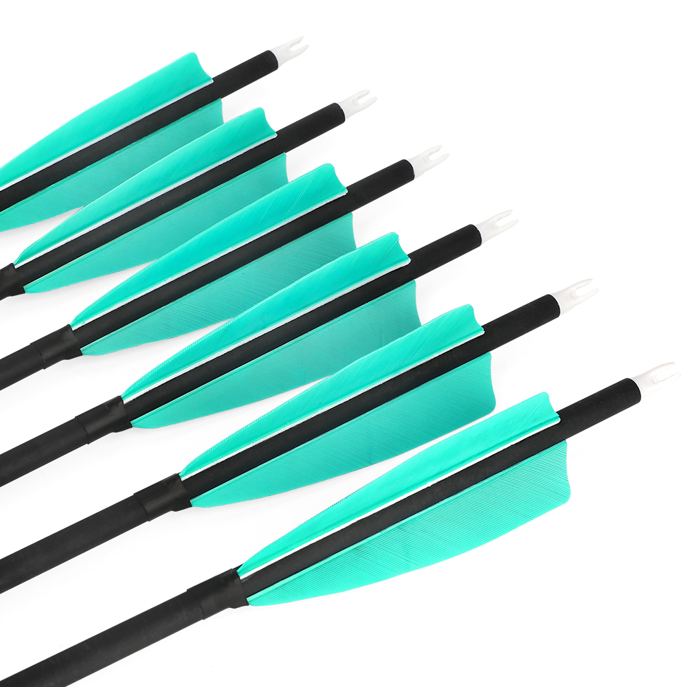 500F 30" Aqua/White Feather Carbon Arrows 12pcs 100gr