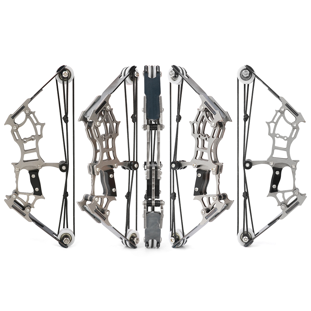 Mini Stainless Steel Compound Bow Set with 12 Arrows & Target