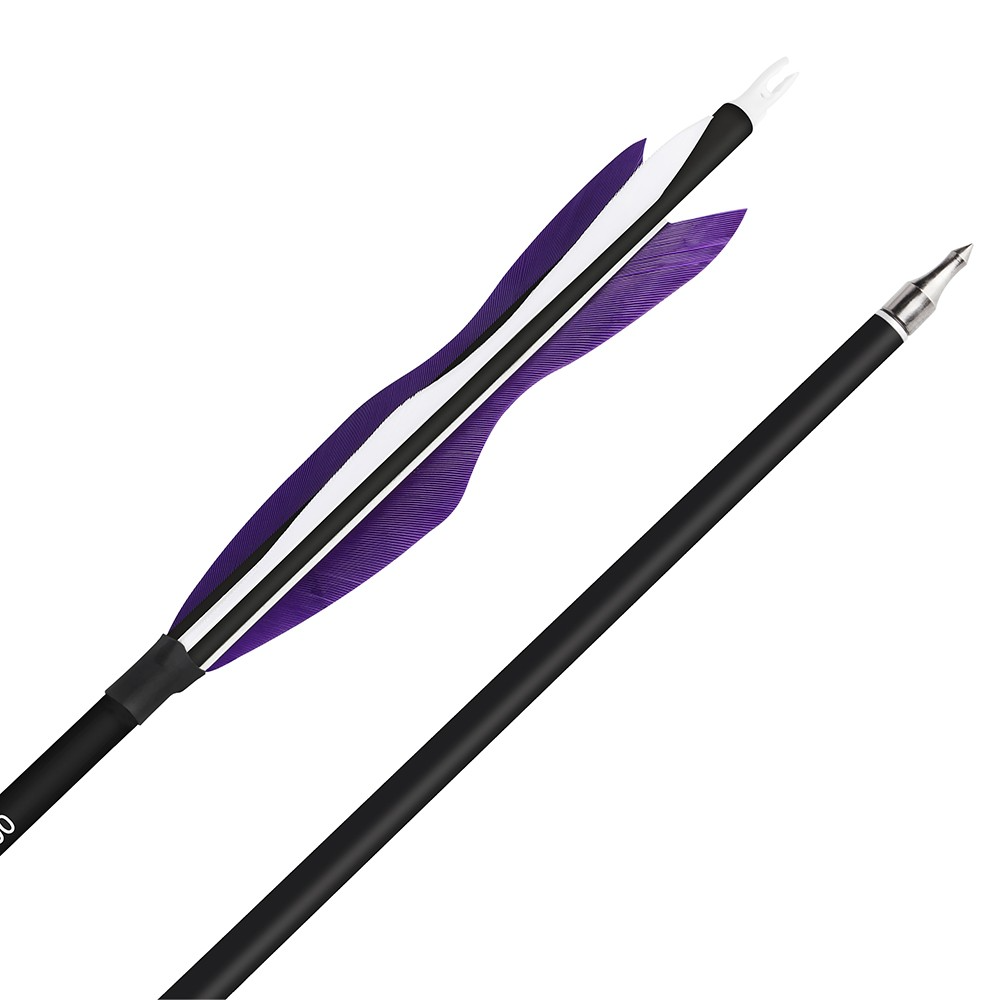 12pcs Archery Carbon Arrows 30" Spine 500 for Recurve & Compound