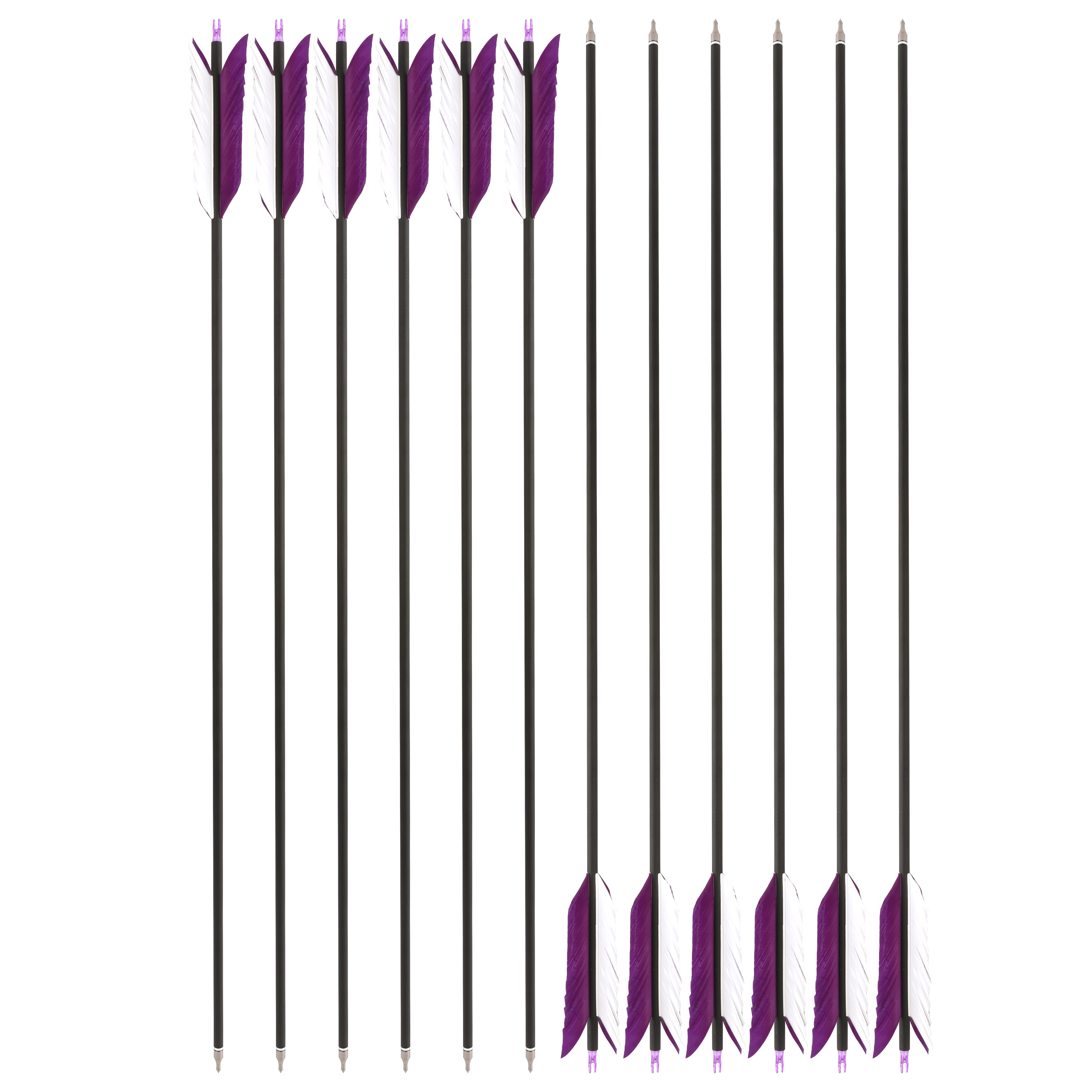12pcs 30" Carbon Arrows 4"  Feather SP500 Bow Hunt Archery Shoot Target