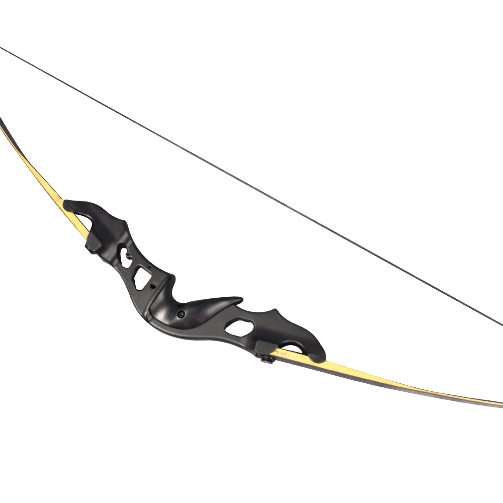 BLACK HUNTER 60" Hunting Bow 20–55lbs Metal Recurve Kit