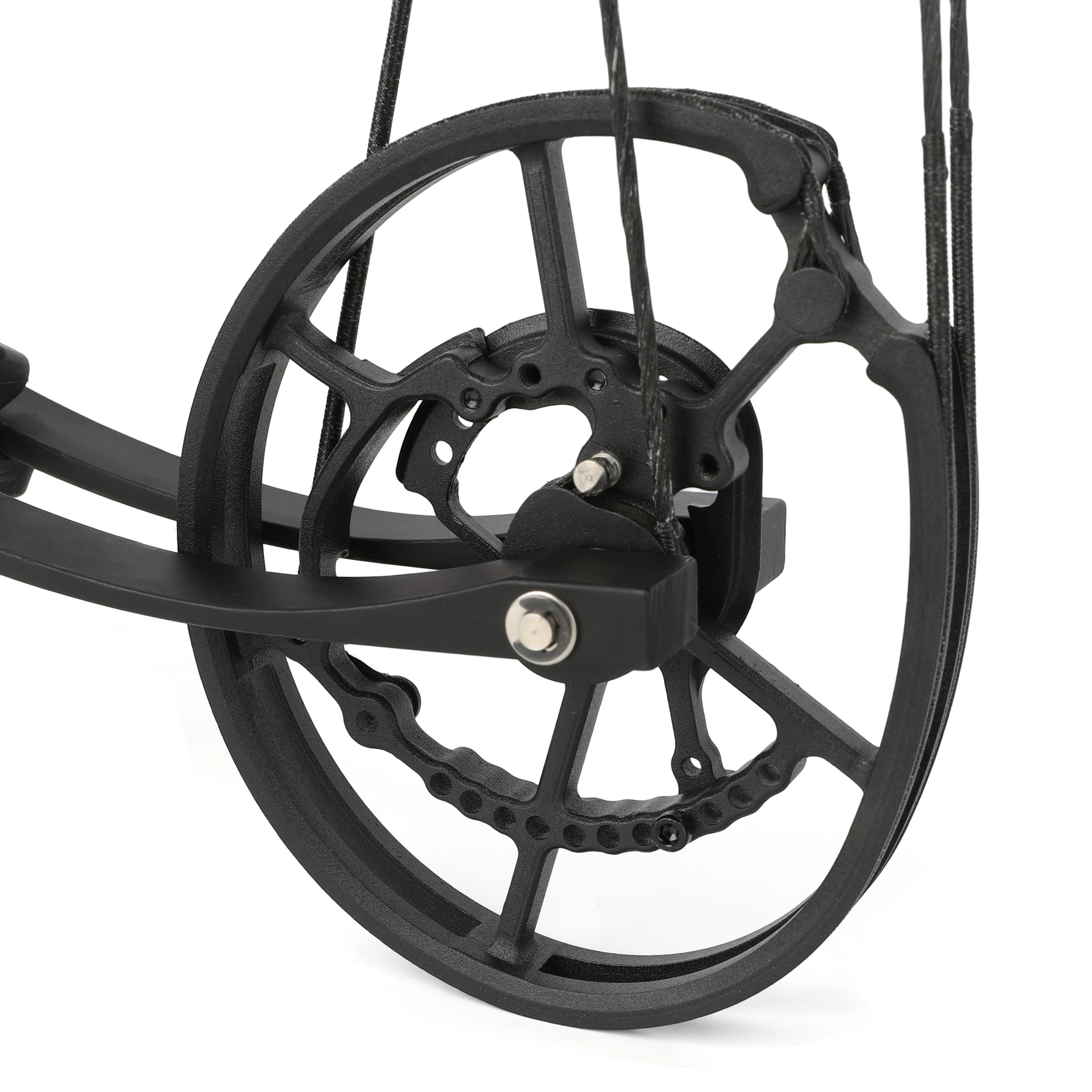 SHARROW Dual-Purpose Compound Bow 30-70lbs Archery Shooting
