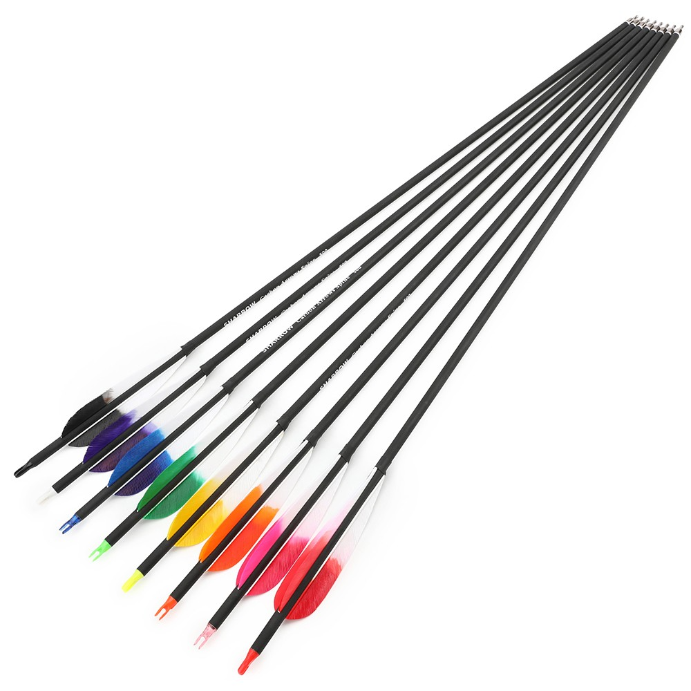 6pcs Archery Carbon Arrows Spine 500 with 5" Turkey Feathers