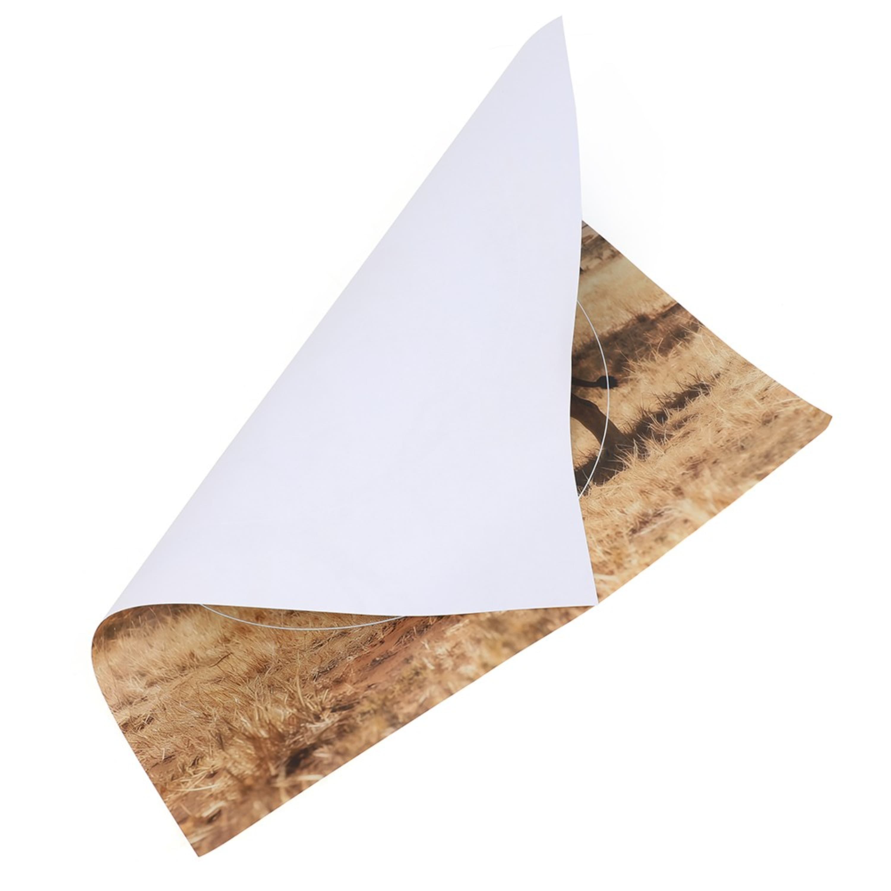40x40cm Archery Target Paper Face Animal Arrow Bow Shooting 