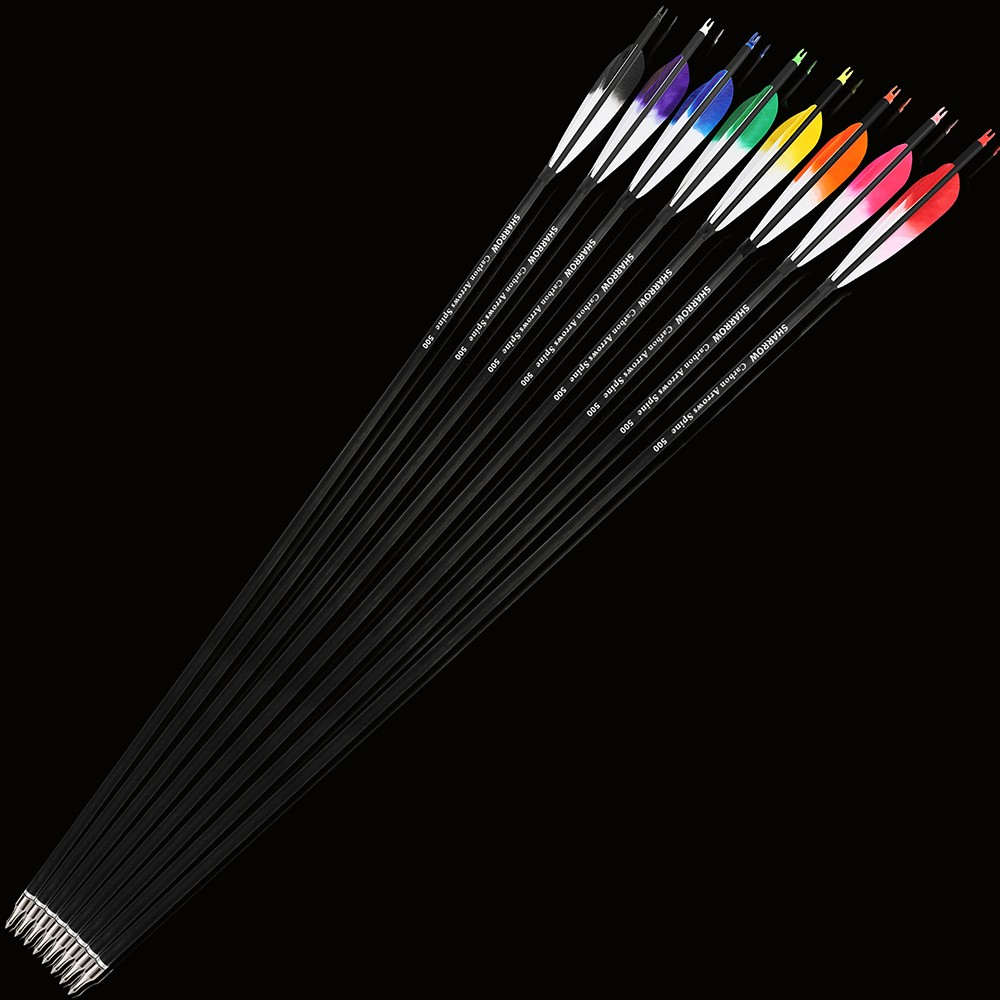 6pcs Archery Carbon Arrows Spine 500 with 5" Turkey Feathers